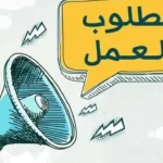 وظائف مبيعات برواتب مجزية وامتيازات تأمينية في 3 محافظات تعلن عنها وزارة الشباب والرياضة